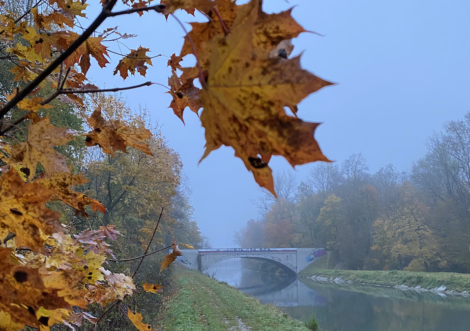 Samhain - Bedeutung und und schamanische Rituale zum keltischen Fest