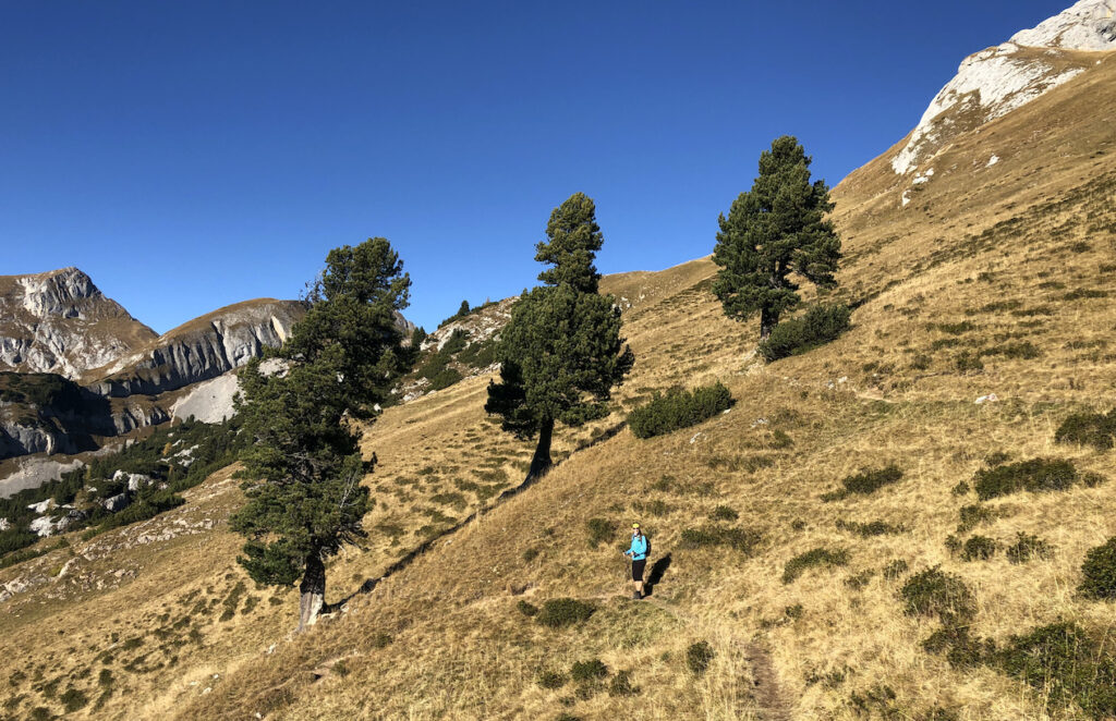 Rituale-Koerper-energetisch-reinigen-Schamanin-Natur