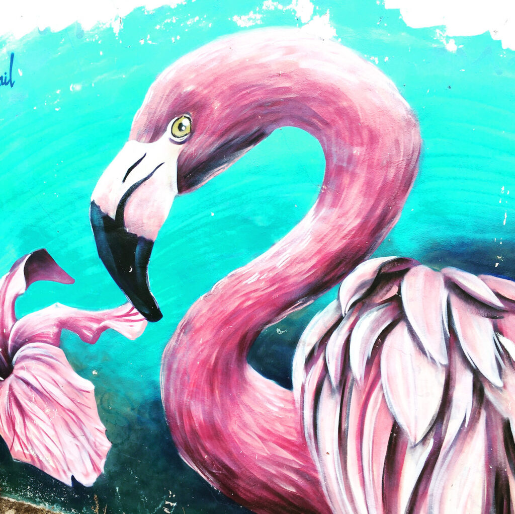 Krafttier Flamingo Bedeutung