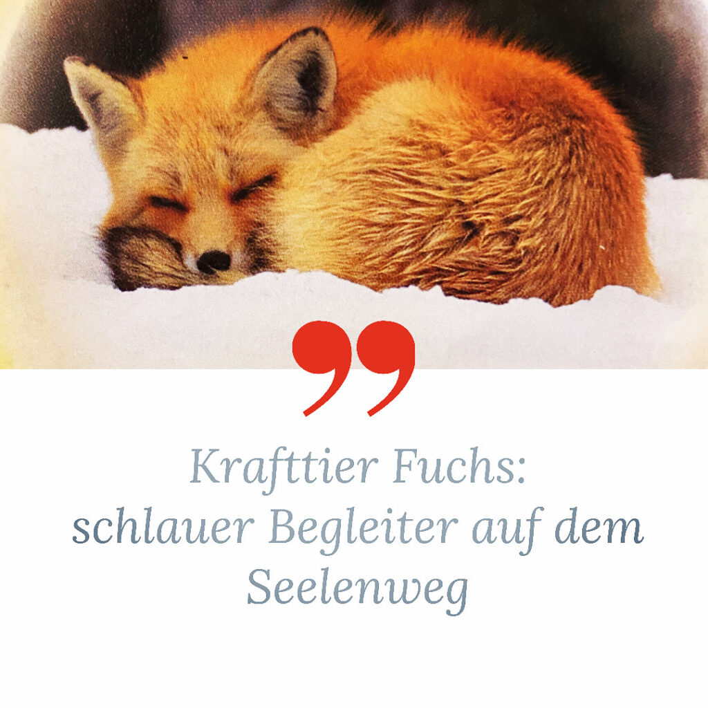 Krafttier Fuchs Bedeutung