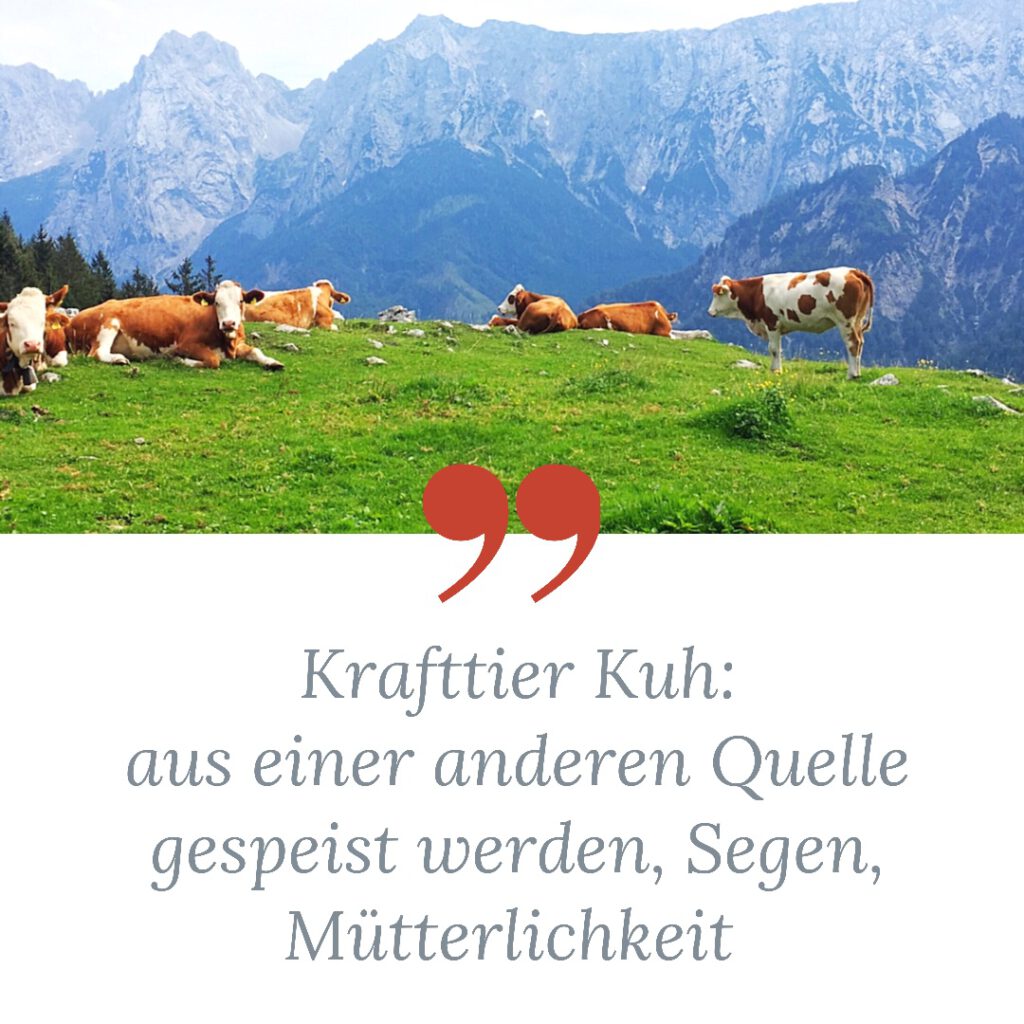 Krafttier Kuh Bedeutung