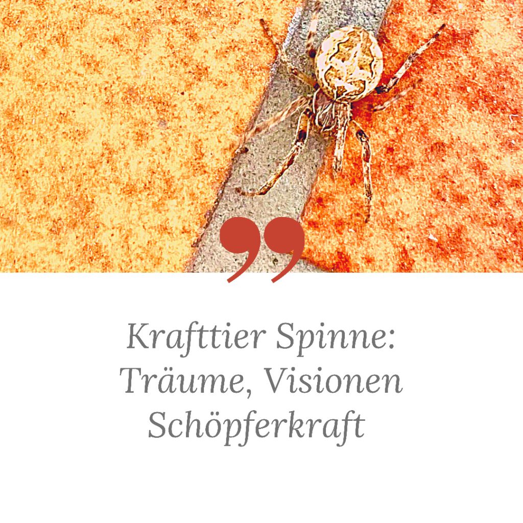 Krafttier Spinne Bedeutung